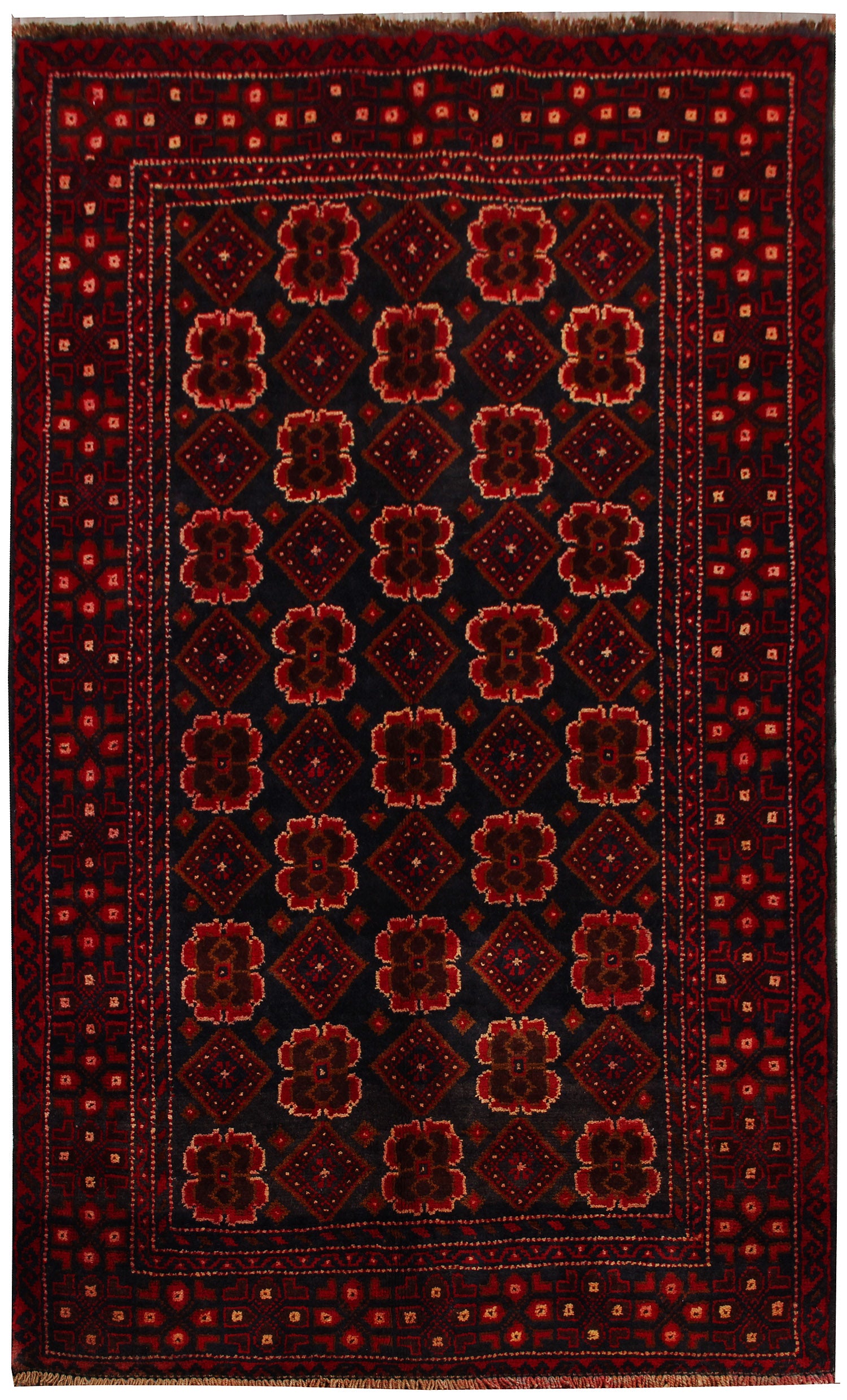 Super Baluchi 1 meter